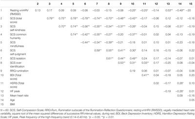 Self-Compassion and Its Association With Ruminative Tendencies and Vagally Mediated Heart Rate Variability in Recurrent Major Depression